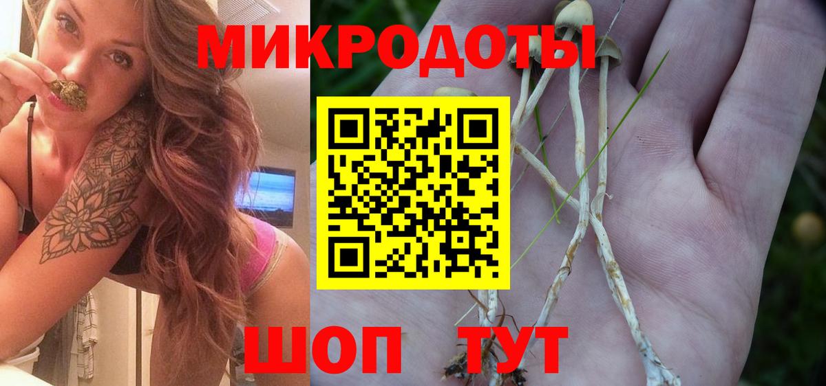 Галлюциногенные грибы Psilocybe  Псилоцибиновые грибы Psilocybe  Альметьевск  Вход с VPN 